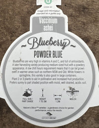 Blueberry Powder Blue - Ladybird Nursery