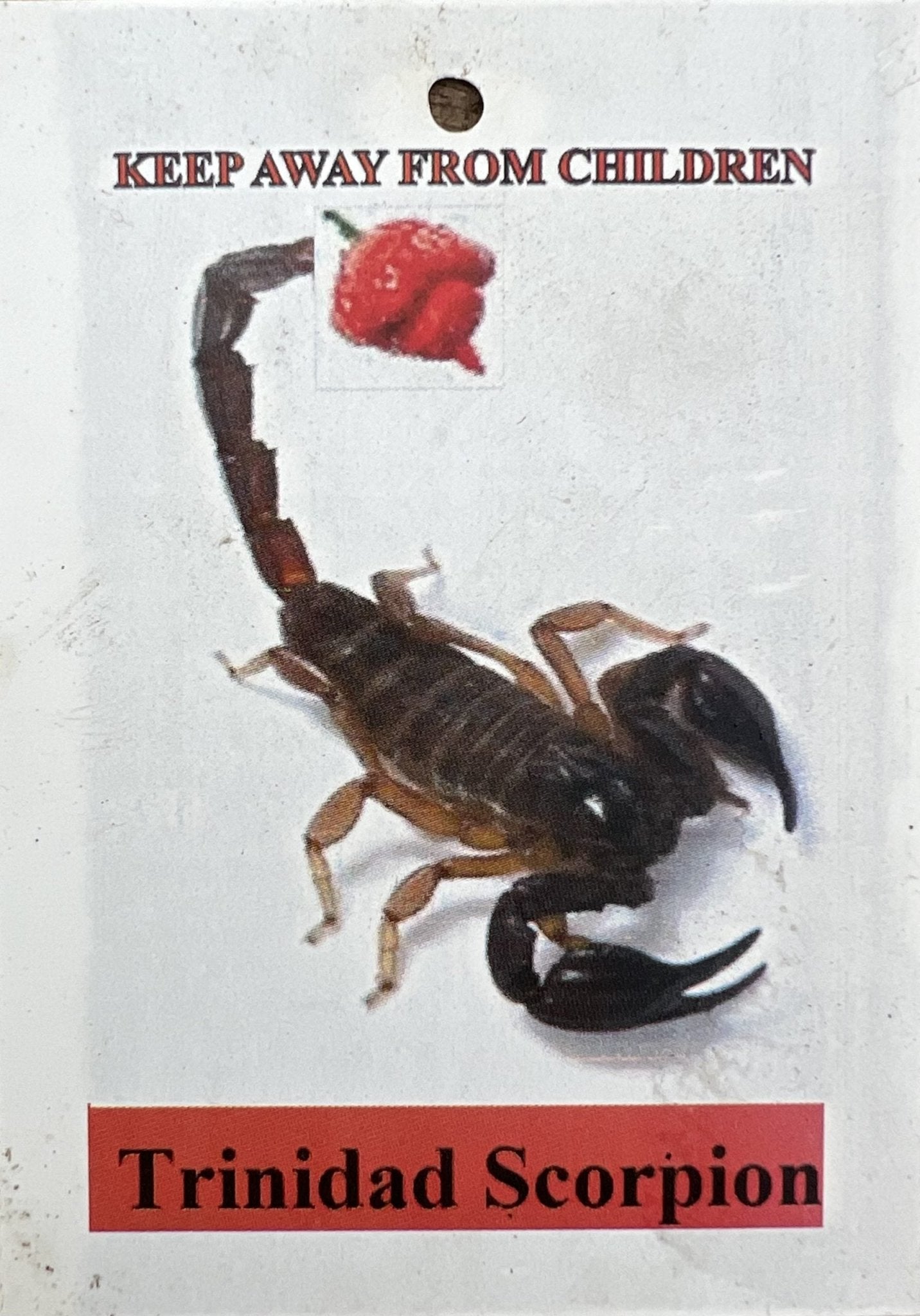 Trinidad Moruga Scorpion Chilli - Ladybird Nursery