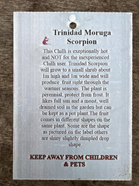 Trinidad Moruga Scorpion Chilli - Ladybird Nursery