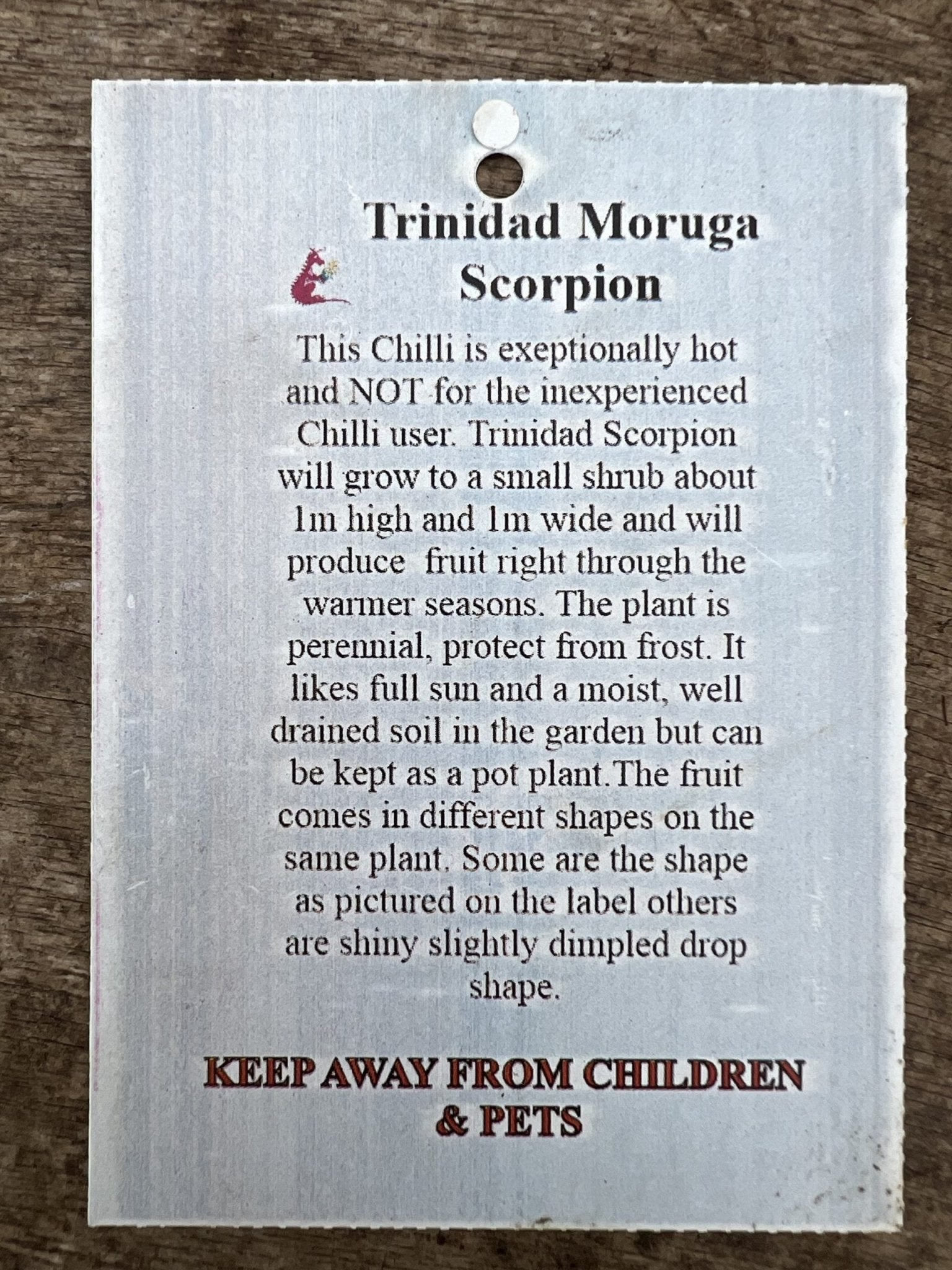 Trinidad Moruga Scorpion Chilli - Ladybird Nursery