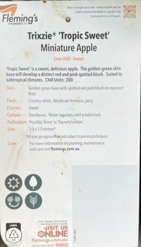 Super Dwarf Tropic Sweet Apple