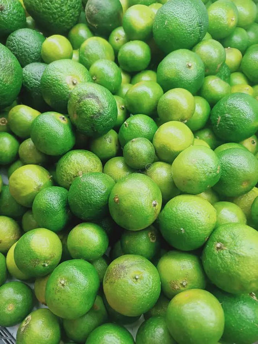 Indonesian Lime (QLD Only) - Ladybird Nursery