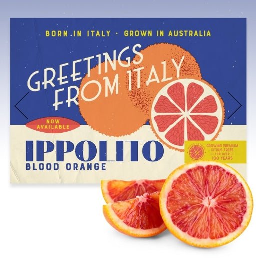 Ippolito Blood Orange (QLD ONLY) - Ladybird Nursery