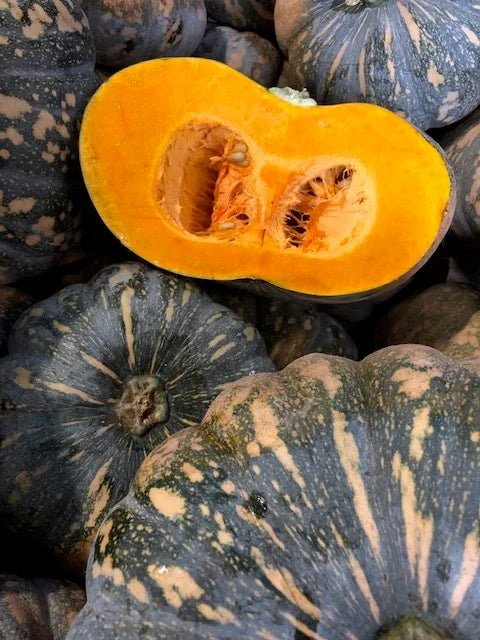 Pumpkin 'Jap' (Pickup Only) - Ladybird Nursery