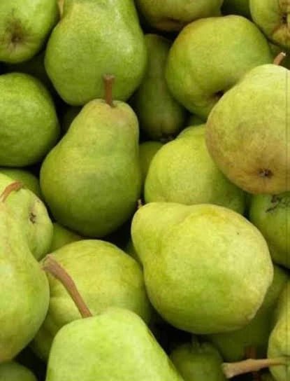 Josephine Pear - Ladybird Nursery