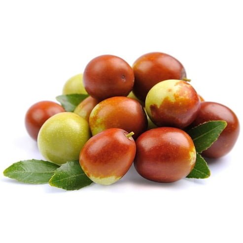 Sugar Cane Jujube Fruit Tree – Buy Now! – Ladybird Nursery