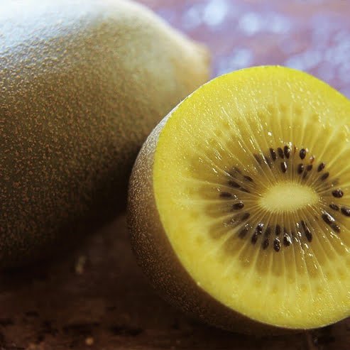 Kiwi Fruit Dexter Female