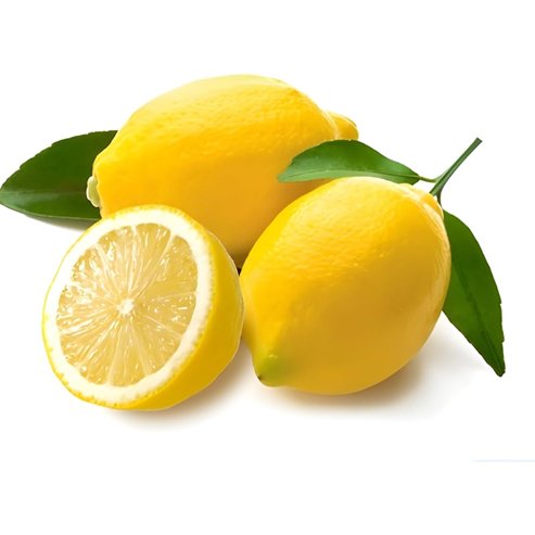 Lemon Eureka seedless (QLD Only) - Ladybird Nursery