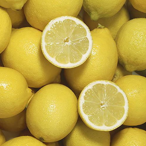 Lemon Eureka seedless (QLD Only)