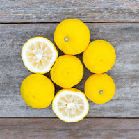 Dwarf Lemon Yuzu (QLD Only)