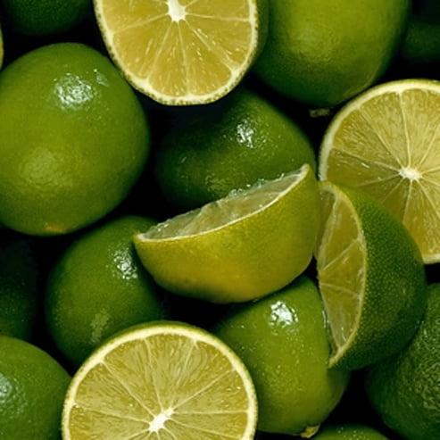Dwarf Lime West Indian (Key Lime) (QLD Only)
