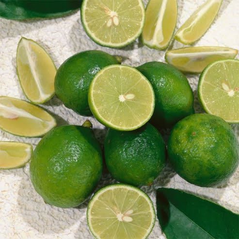 Lime West Indian (Key Lime) (QLD Only) - Ladybird Nursery