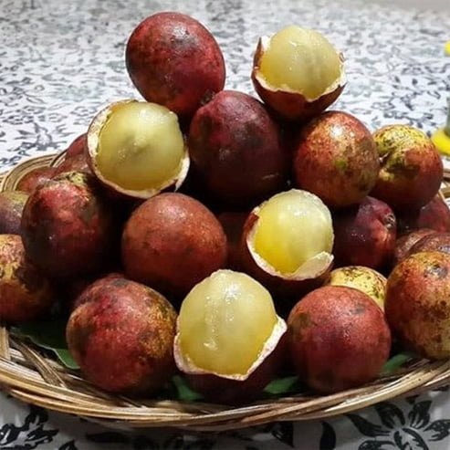 Longan 'Fijian'