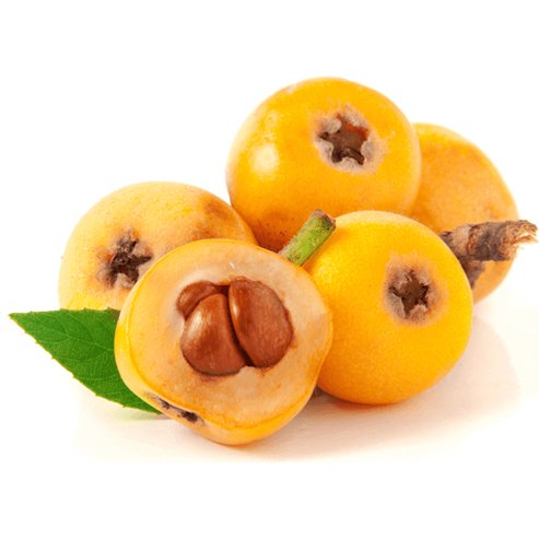 Loquat Champagne Fruit Tree – Buy Now! – Ladybird Nursery