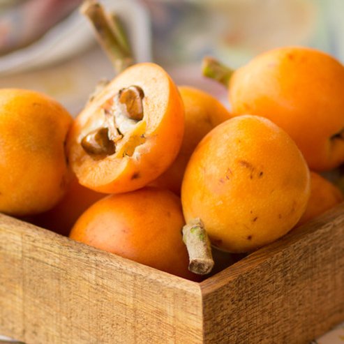 Loquat Grafted Enormity - Ladybird Nursery