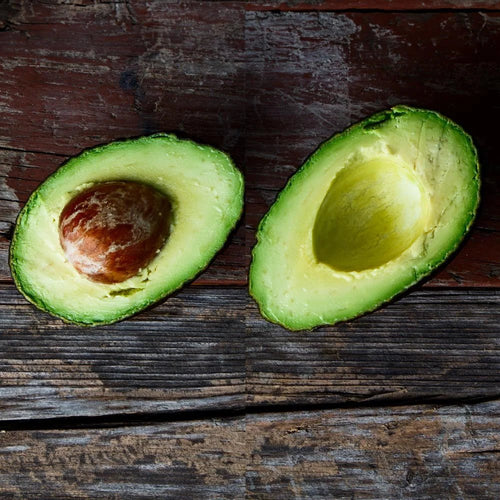 Avocado Choquette (A Type) 1L - Ladybird Nursery