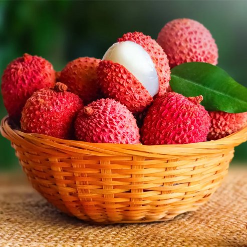 Lychee Bengal - Ladybird Nursery