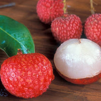 Lychee Sah Keng Semi Dwarf