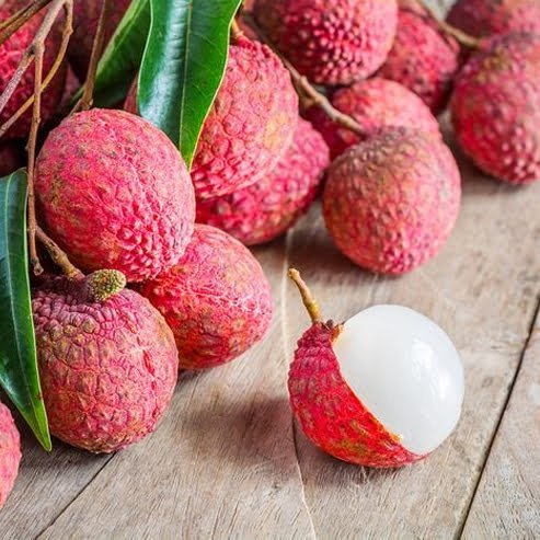 Lychee 'Tai So' 250mm (PICK UP ONLY) - Ladybird Nursery