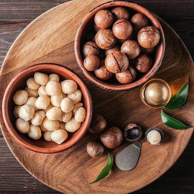 Macadamia Grafted A29 - Ladybird Nursery