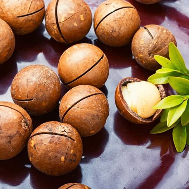 Macadamia Daddow - Ladybird Nursery