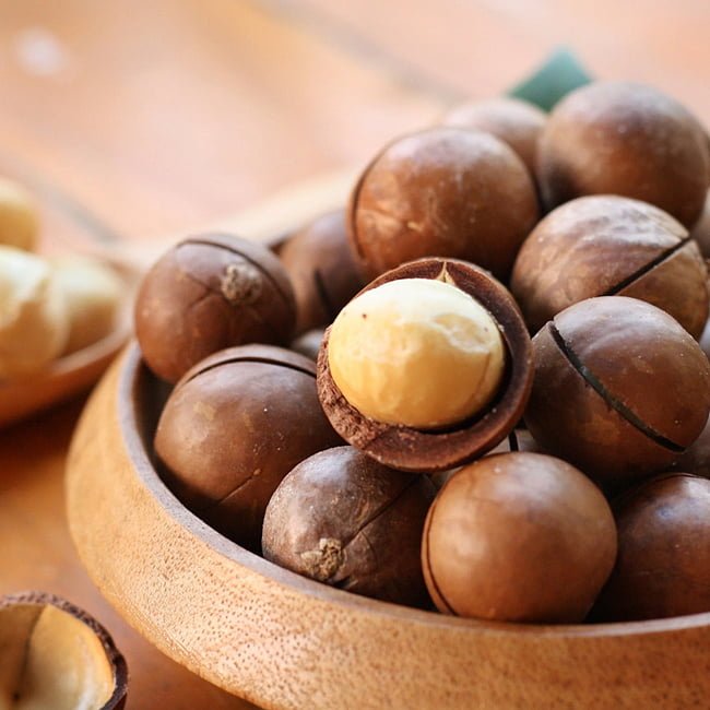 Macadamia Grafted 246 / Keauhou - Ladybird Nursery