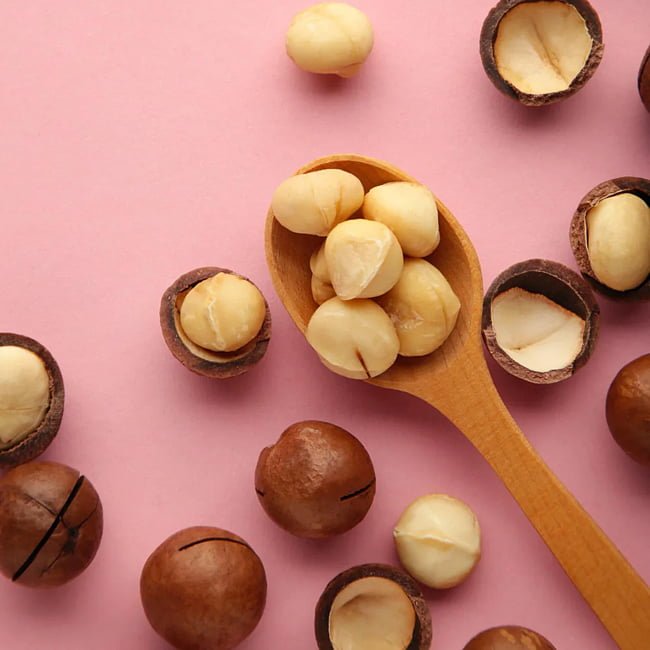 Macadamia Mini Maca - Ladybird Nursery