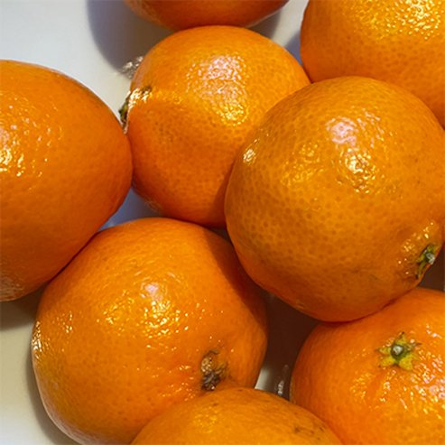 Maestro Mandarin (QLD Only) - Ladybird Nursery