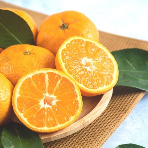 Maestro Mandarin (QLD Only) - Ladybird Nursery
