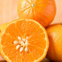 Mandarin Afourer (QLD Only)