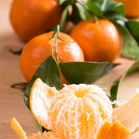 Mandarin Afourer (QLD Only) - Ladybird Nursery
