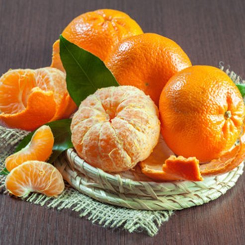 Mandarin Amigo (QLD Only) - Ladybird Nursery