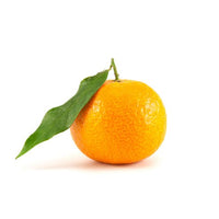 Mandarin Amigo (QLD Only) - Ladybird Nursery