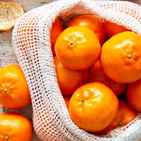 Dwarf Mandarin Ellendale (QLD Only)