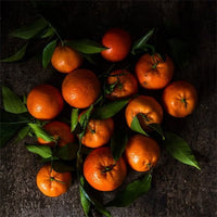 Dwarf Mandarin Hickson (QLD Only)