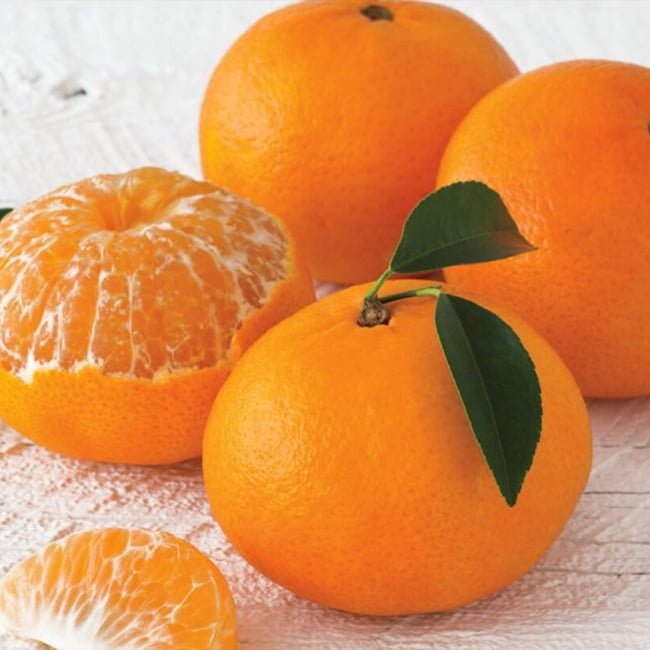 Mandarin Fallglo (QLD Only) - Ladybird Nursery