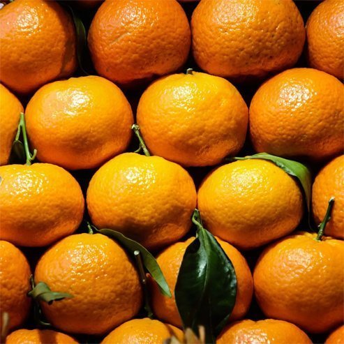 Mandarin Hickson (QLD Only) - Ladybird Nursery