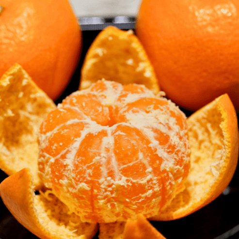 Mandarin Miho Wase Satsuma (QLD Only) - Ladybird Nursery