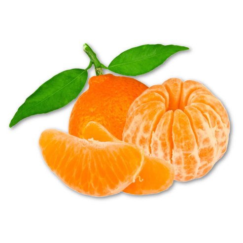 Mandarin Miho Wase Satsuma (QLD Only) - Ladybird Nursery