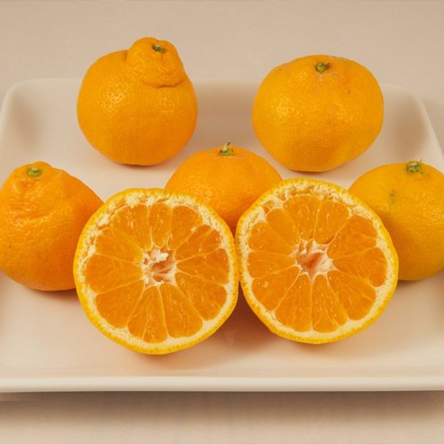 Mandarin Okitsu Wase Satsuma (QLD Only)