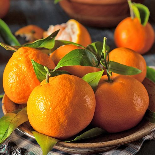 Mandarin Okitsu Wase Satsuma (QLD Only)