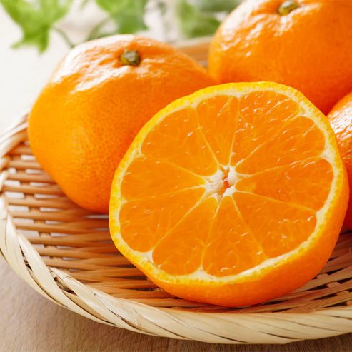 Mandarin Silverhill Satsuma (QLD Only) - Ladybird Nursery