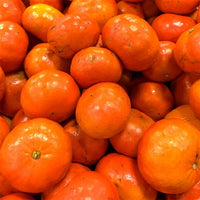 Mandarin Sunburst (QLD Only) - Ladybird Nursery