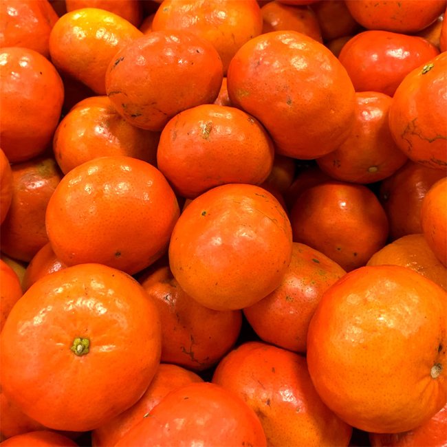 Mandarin Sunburst (QLD Only) - Ladybird Nursery