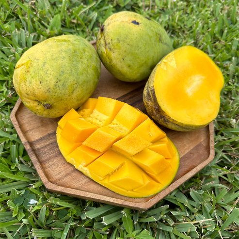 Mango Coconut Cream - Ladybird Nursery