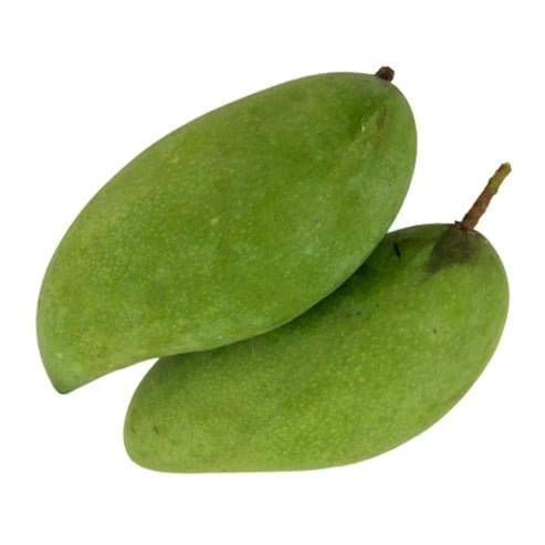Dwarf Mango Falan Fruit Tree – Buy Now! – Ladybird Nursery
