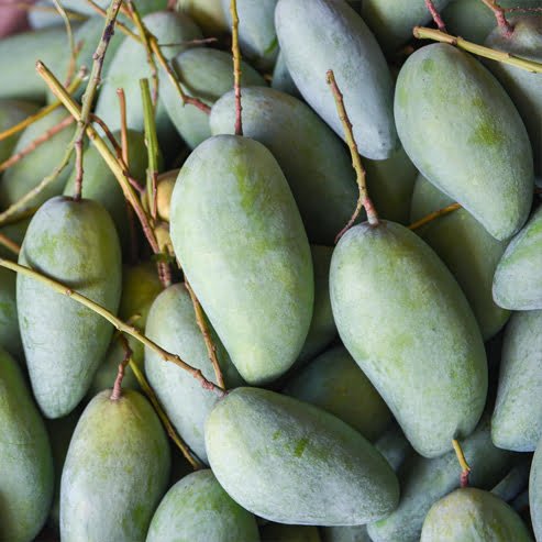 Mango Khiew Sawoey - Ladybird Nursery