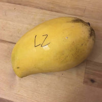 Mango 'Lemon Zest' - Ladybird Nursery