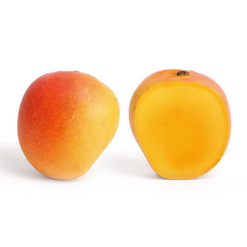 Mango 'Parvin' - Ladybird Nursery