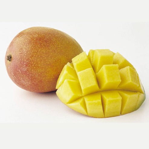 Mango 'Parvin' - Ladybird Nursery